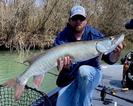 Muskie fishing in Knoxville, Tennessee