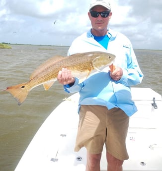 Fishing in Dickinson, Texas