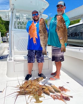 Black Grouper, Hogfish, Lobster fishing in Islamorada, Florida