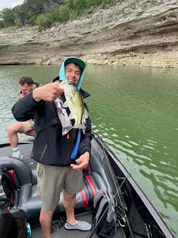 Largemouth Bass Fishing in Austin, Texas