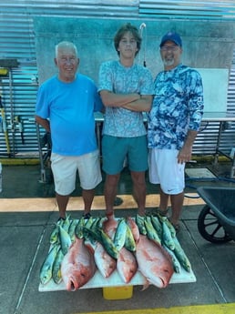 Mahi Mahi, Red Snapper Fishing in Destin, Florida