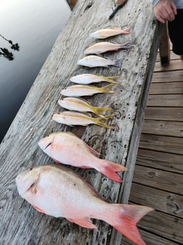 Fishing in Key Largo, Florida