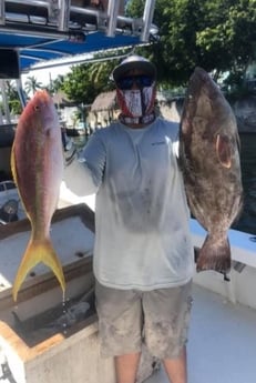 Black Grouper, Yellowtail Snapper fishing in Key Largo, Florida