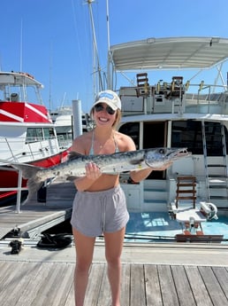 Barracuda Fishing in West Palm Beach, Florida