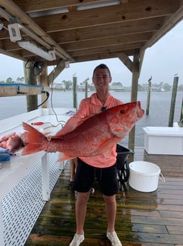 Red Snapper Fishing in Orange Beach, Alabama