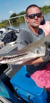 Alligator Gar fishing in Livingston, Texas