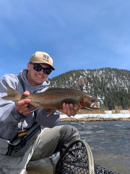 Brown Trout fishing in Deer Lodge, Montana