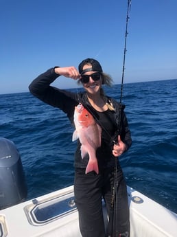 Gag Grouper fishing in Destin, Florida