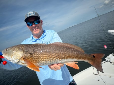 Fishing in St. Petersburg, Florida