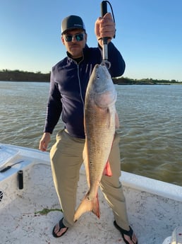 Redfish Fishing in Galveston, Texas