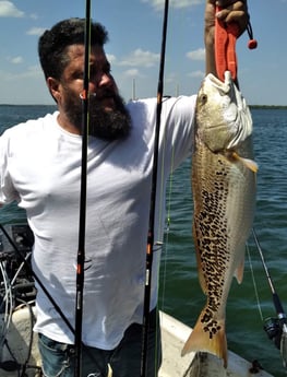 Redfish fishing in San Antonio, Texas