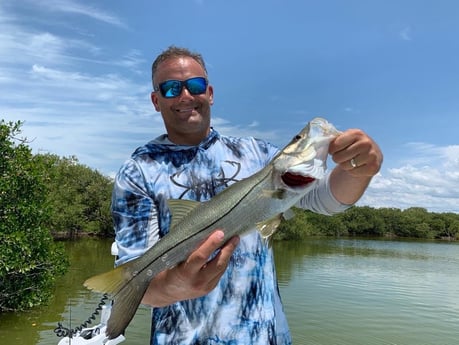 Snook fishing in Key Largo, Florida