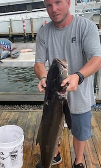 Cobia fishing in Destin, Florida