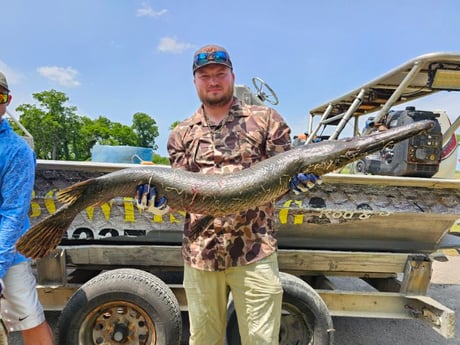 Alligator Gar Fishing in Houston, Texas