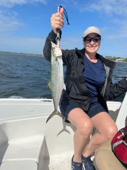 Spanish Mackerel fishing in Panama City, Florida