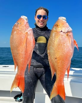 Mutton Snapper Fishing in Islamorada, Florida