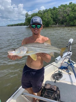 Snook fishing in Sarasota, Florida