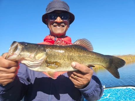 Fishing in Fort Lauderdale, Florida