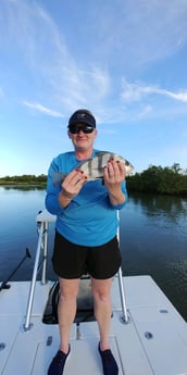 Black Drum fishing in St. Augustine, Florida