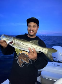 Snook fishing in Fort Lauderdale, Florida