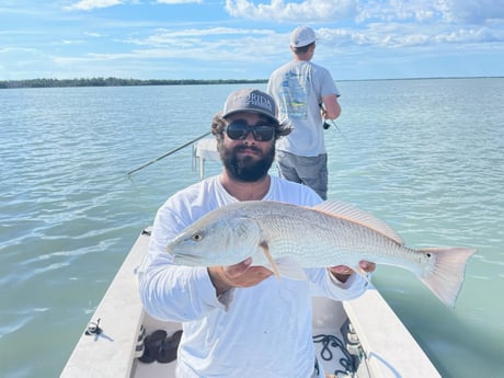 Redfish fishing in Tavernier, Florida