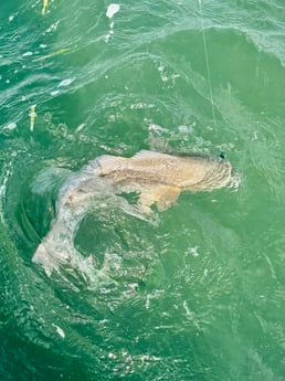 Fishing in South Padre Island, Texas