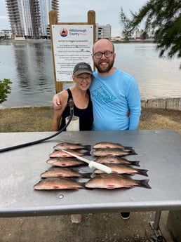 Mangrove Snapper fishing in Holmes Beach, Florida