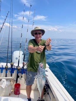 False Albacore Fishing in Destin, Florida