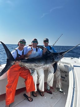 Swordfish Fishing in Destin, Florida