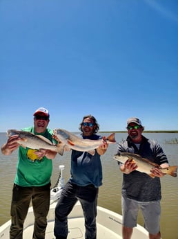 Redfish Fishing in Boothville-Venice, Louisiana