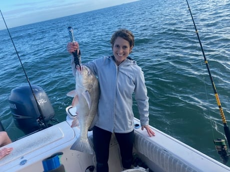 Black Drum Fishing in Galveston, Texas