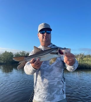 Snook Fishing in Palm Coast, Florida