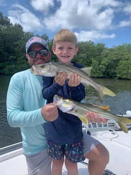 Snook fishing in Clearwater, Florida