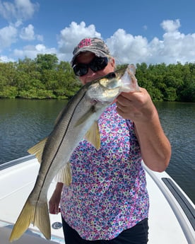 Snook fishing in Clearwater, Florida