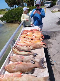 Lane Snapper, Red Grouper fishing in Clearwater, Florida