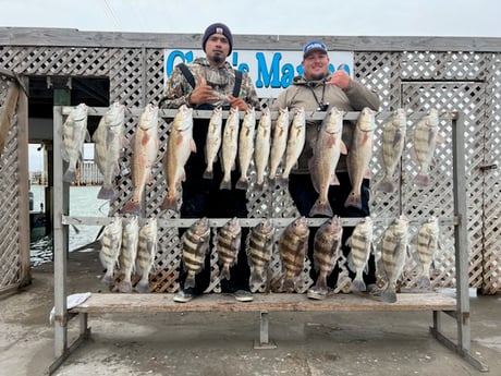 Black Drum, Redfish, Sheepshead, Speckled Trout / Spotted Seatrout Fishing in Corpus Christi, Texas