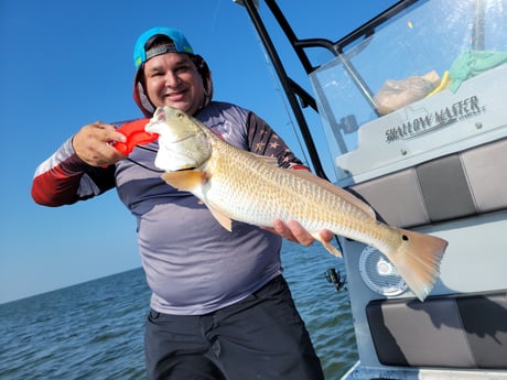 Redfish Fishing in Rio Hondo, Texas