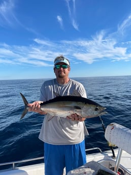 Blackfin Tuna fishing in Santa Rosa Beach, Florida