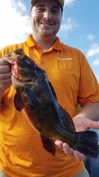 Peacock Bass Fishing in Fort Lauderdale, Florida