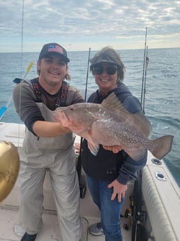 Red Grouper fishing in Clearwater, Florida