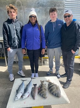 False Albacore, Mangrove Snapper, Sheepshead Fishing in Destin, Florida