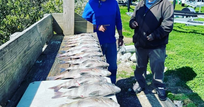 Red Snapper, Redfish fishing in South Padre Island, Texas