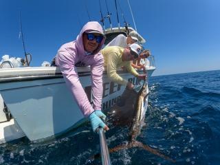 Sailfish Fishing in Boynton Beach, Florida