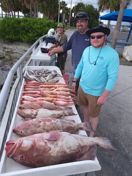 Lane Snapper, Red Grouper fishing in Clearwater, Florida