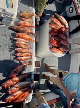 Fishing in San Diego, California