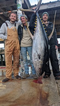 Yellowfin Tuna Fishing in Venice, Louisiana