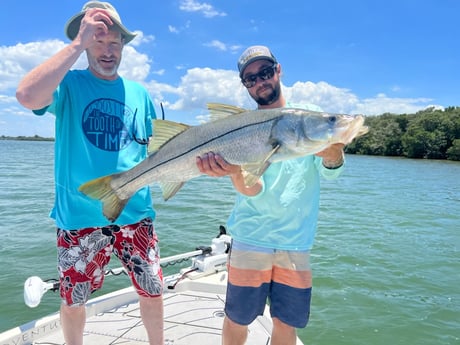 Snook fishing in Clearwater, Florida