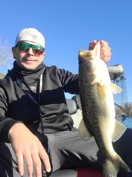 Largemouth Bass Fishing in Austin, Texas