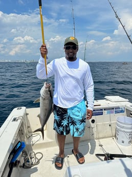 Amberjack Fishing in Destin, Florida