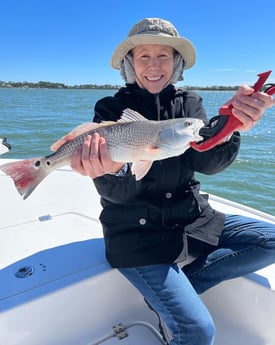 Redfish fishing in Savannah, Georgia